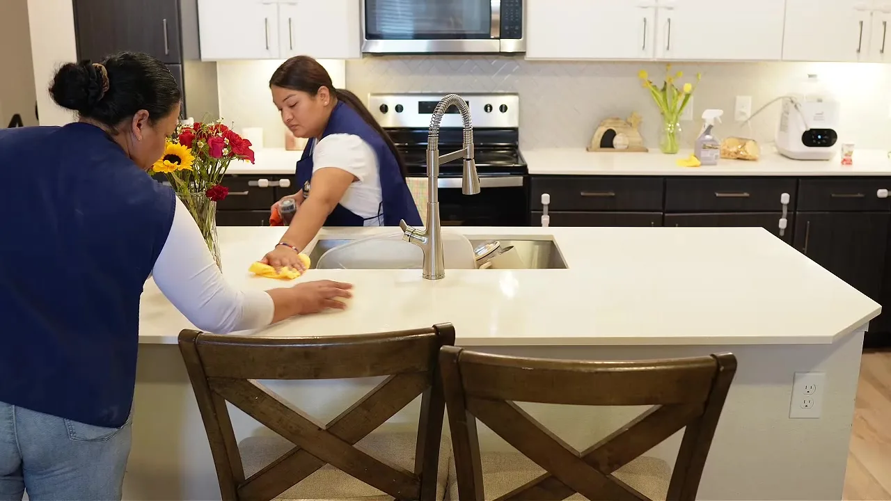 Magnificent cleaner preparing a clean kitchen counter